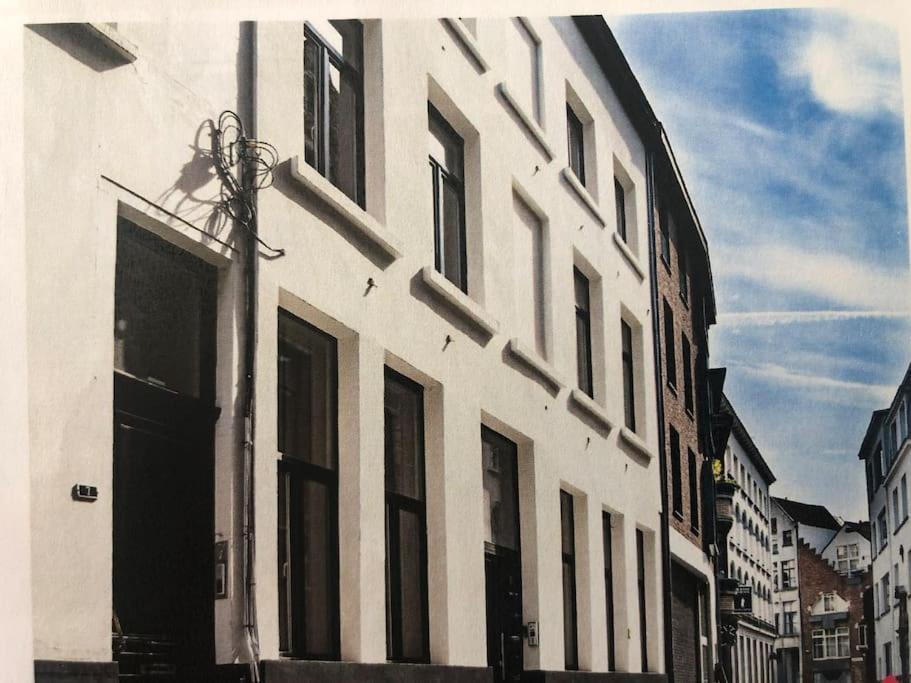 Hippe Studio In Historisch Gebouw In Oude Centrum 安特卫普 外观 照片