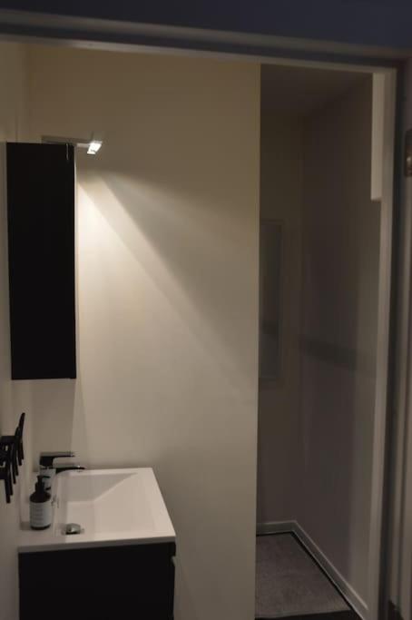 Hippe Studio In Historisch Gebouw In Oude Centrum 安特卫普 外观 照片